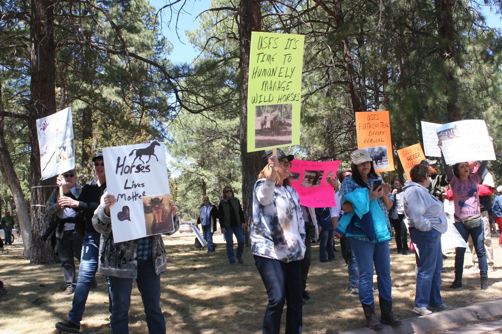 Peaceful march